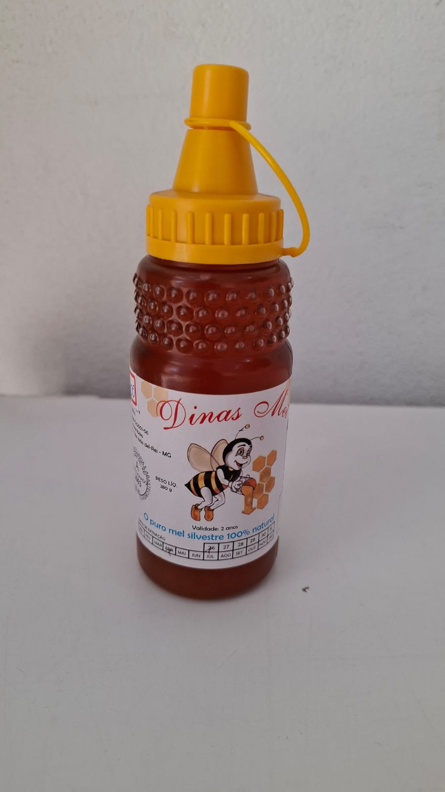 Mel de Abelhas Silvestres